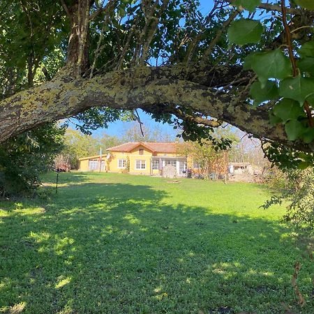 Ferienhaus Primorska Sunshine In Strandnaehe Shabla Εξωτερικό φωτογραφία