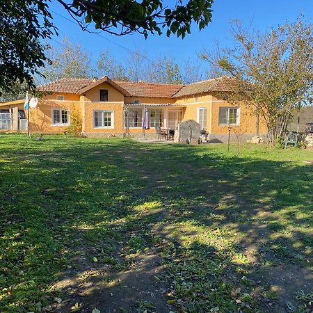 Ferienhaus Primorska Sunshine In Strandnaehe Shabla Εξωτερικό φωτογραφία