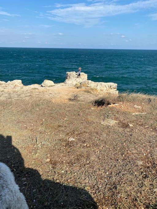 Ferienhaus Primorska Sunshine In Strandnaehe Shabla Εξωτερικό φωτογραφία