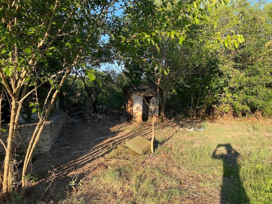 Ferienhaus Primorska Sunshine In Strandnaehe Shabla Εξωτερικό φωτογραφία